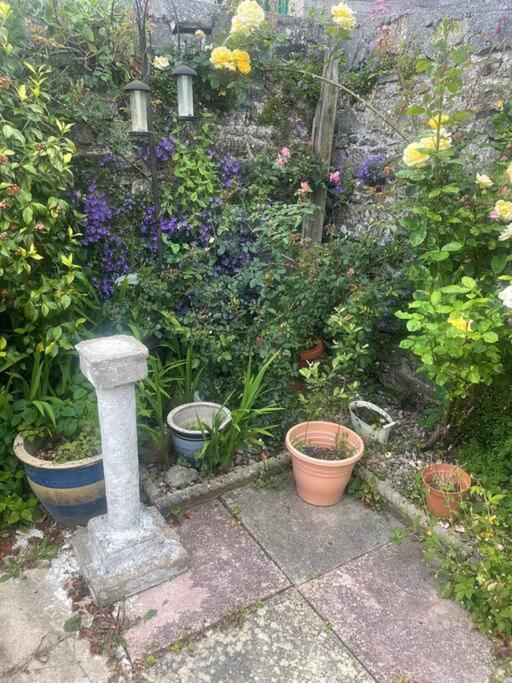 Ivybridge Cottage エクステリア 写真